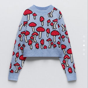 Zara Blogger Favorite Cropped Red Blue Mushroom Sweater Sz Small